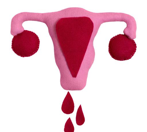 menoraji-kadin-sagligi-ilustrasyon