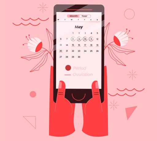 kısa uzun adet döngüsü