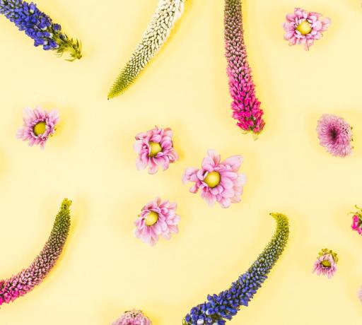 vajinal flora neden bozulur