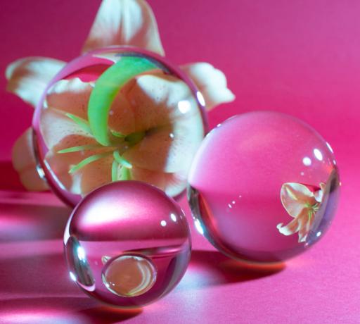 vajinal flora ve hormonlar