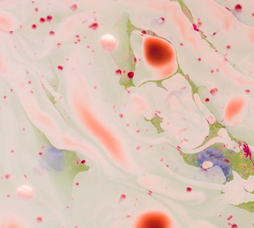 iyi huylu vajinal bakteriler